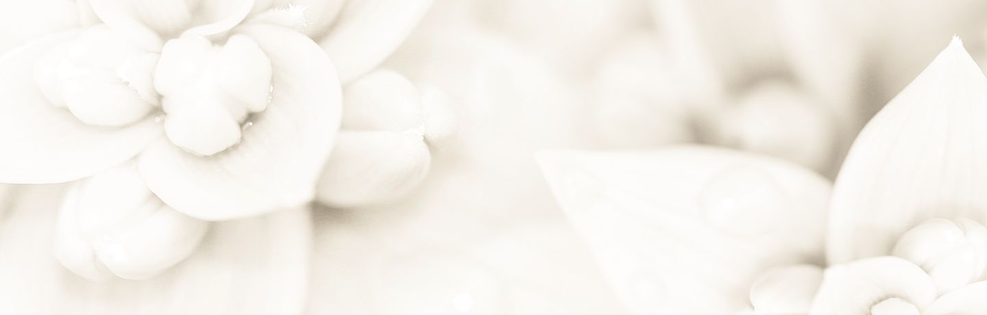 רווית רחימי לוי